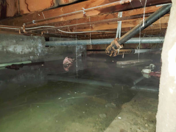 Best Flooded house restoration  in Harrison, NJ