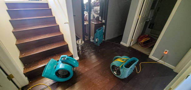 Best Local water damage restoration  in Harrison, NJ