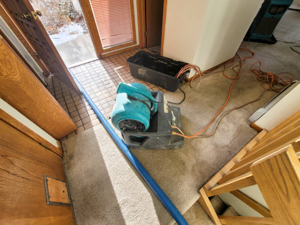 Best Water damage cleanup near me  in Harrison, NJ