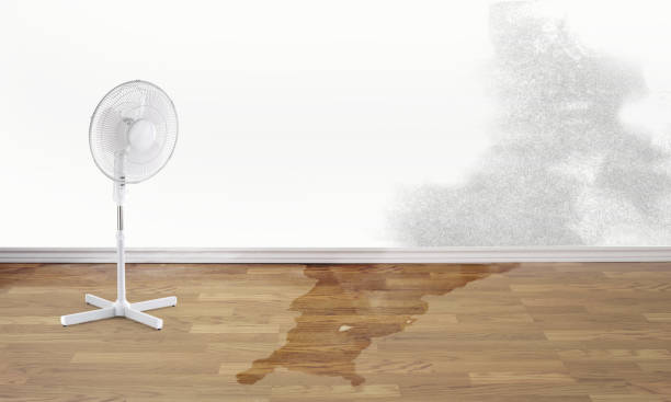 Best Residential water damage restoration  in Harrison, NJ