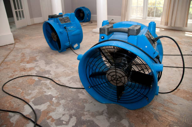 Best Fire Damage Restoration  in Harrison, NJ