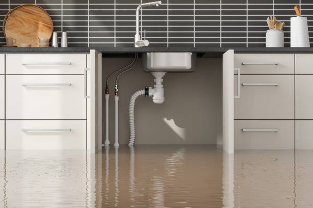 Best Water damage contractors near me  in Harrison, NJ